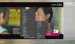 爆料张姓导演视频播放,揭秘娱乐圈不为人知的秘密